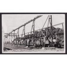 FERROCARRIL ANTIGUA TARJETA POSTAL TREN CON CAÑA DE AZUCAR TUCUMAN